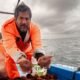 erizo rojo — Pescadores en el puerto de Matarani trabajan con erizos rojos bajo condiciones climáticas adversas. Foto de: Roberth Orihuela