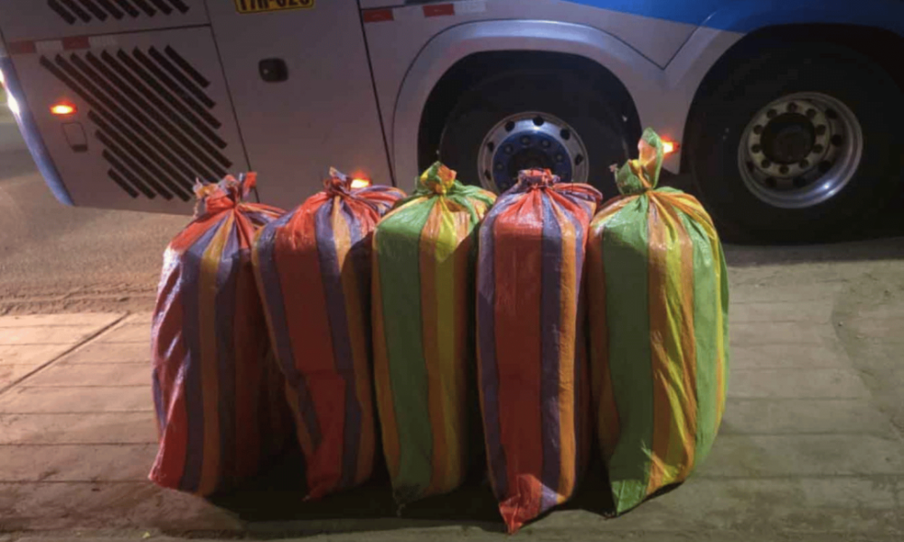 PNP incauta más — Marihuana incautada por la policía en operativos realizados en las regiones de Trujillo y Huamachuco. Foto de: Perú21
