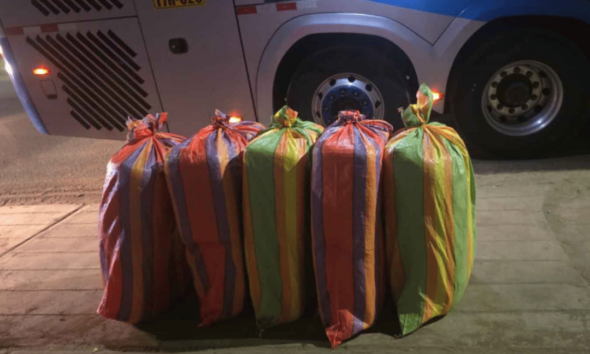 PNP incauta más — Marihuana incautada por la policía en operativos realizados en las regiones de Trujillo y Huamachuco. Foto de: Perú21