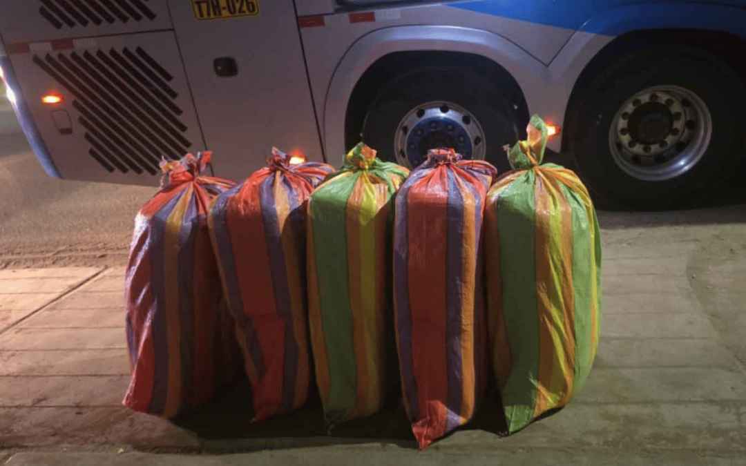 PNP incauta más — Marihuana incautada por la policía en operativos realizados en las regiones de Trujillo y Huamachuco. Foto de: Perú21