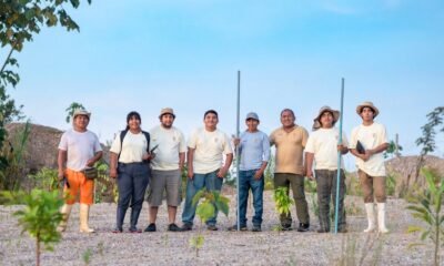 tecnología peruana FAO — Un grupo de trabajadores y técnicos en una zona rural participan en iniciativas para la restauración de suelos amazónicos con tecnología peruana. Foto de: El Búho