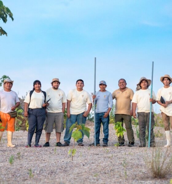 tecnología peruana FAO — Un grupo de trabajadores y técnicos en una zona rural participan en iniciativas para la restauración de suelos amazónicos con tecnología peruana. Foto de: El Búho