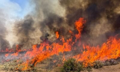Llamas intensas y densa columna de humo en el incendio forestal Widemouth 2 cerca de Richfield, Utah. Foto de: National Forest Service via AP