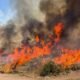 Llamas intensas y densa columna de humo en el incendio forestal Widemouth 2 cerca de Richfield, Utah. Foto de: National Forest Service via AP