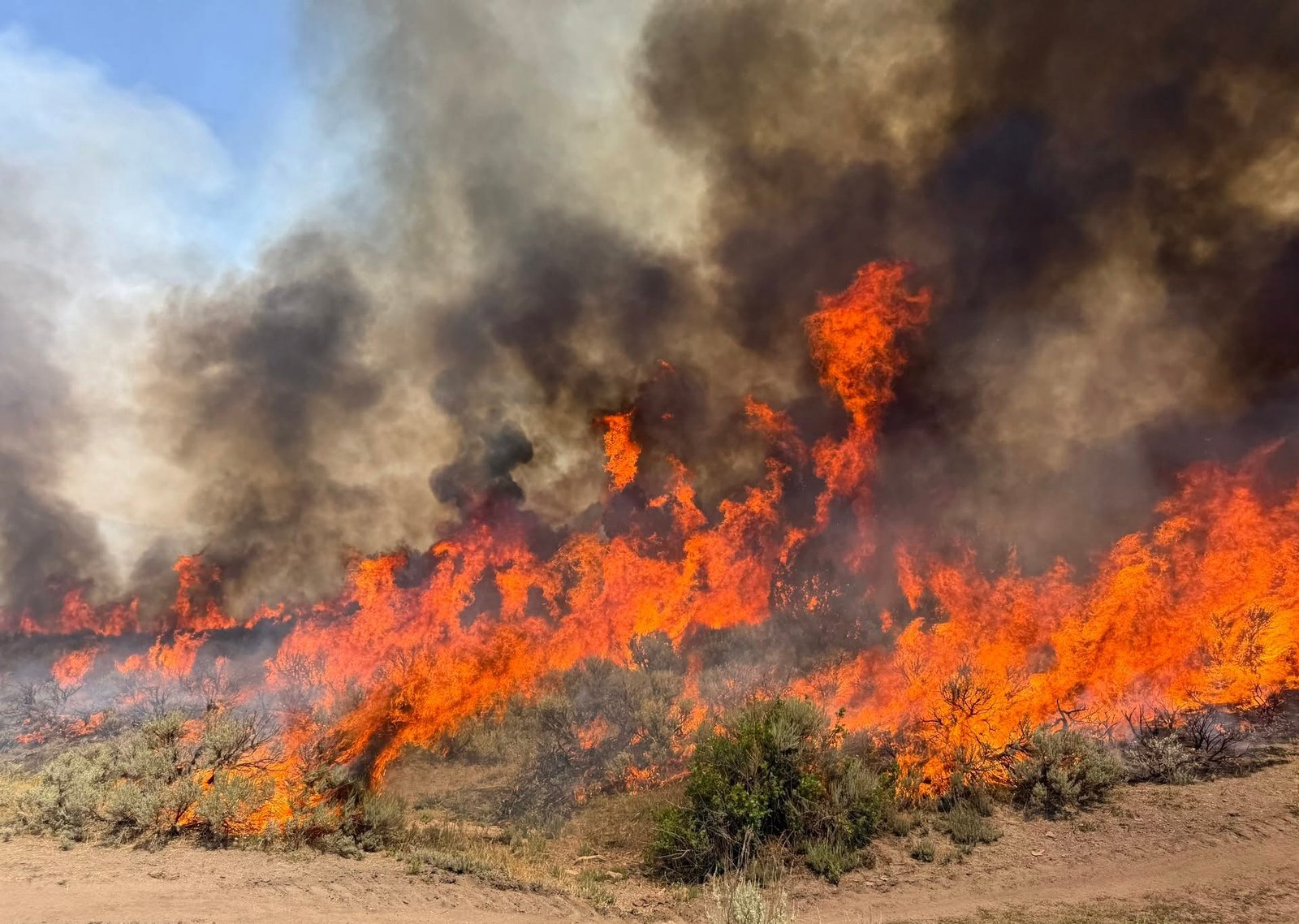 Llamas intensas y densa columna de humo en el incendio forestal Widemouth 2 cerca de Richfield, Utah. Foto de: National Forest Service via AP