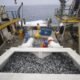 primer semestre — Pescadores procesan una gran cantidad de productos del mar en una embarcación, reflejando la actividad del sector pesquero en la economía peruana. Foto de: Perú21