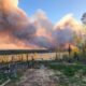 Un incendio forestal en la provincia de Columbia Británica genera evacuaciones masivas debido a la magnitud del fuego. Foto de: Cheryenne Beiersdorf