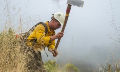 incendios forestales California — Un bombero corta una barrera contra el fuego en Big Sur para controlar el incendio Timber en California. Foto de: Nic Coury/AP Photo