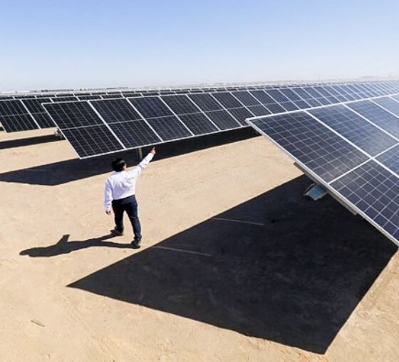 Un técnico inspecciona paneles solares en una planta de energía renovable que impulsa el desarrollo en Arequipa. Foto de: El Peruano