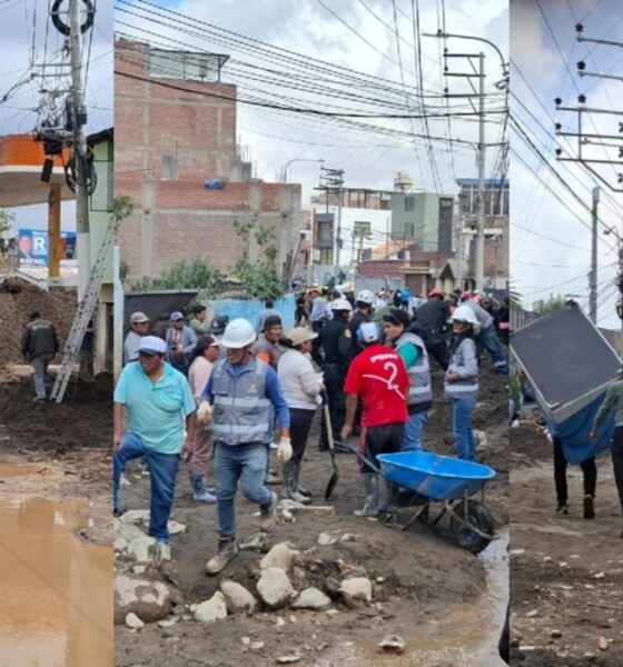 Ejecutivo declara emergencia — Trabajadores y residentes colaboran en labores de limpieza y reparación de infraestructura tras las intensas lluvias en la región de Arequipa. Foto de: El Búho
