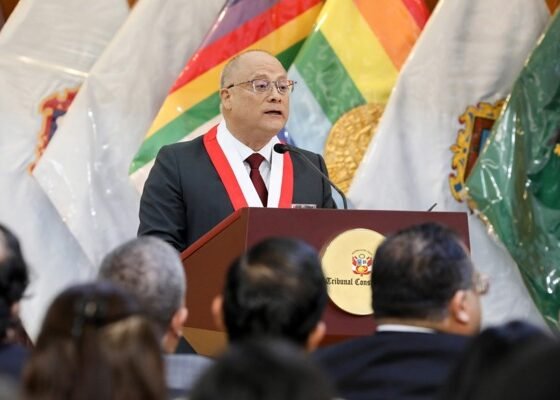 presidente Tribunal Constitucional Perú — El magistrado Pedro Hernández durante su ceremonia de juramento como nuevo presidente del Tribunal Constitucional. Foto de: El Peruano