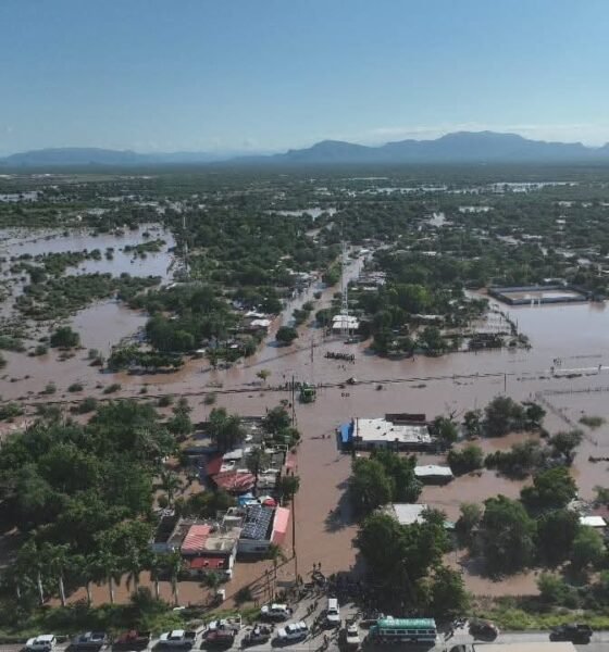 fenómeno El Niño Latinoamérica — Inundaciones causadas por el fenómeno de El Niño afectan zonas rurales y urbanas, afectando la infraestructura y la vegetación en la región. Foto de: Mongabay Perú