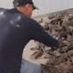 tráfico ilegal — Autoridades peruanas incautan toneladas de aletas de tiburón en los almacenes de la empresa Lamarqocha Inversiones S.A.C. Foto de: Mongabay Latam