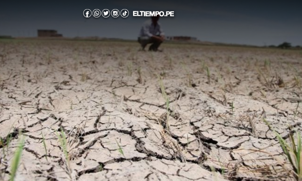 Un agricultor observa la tierra seca y agrietada en una zona afectada por el déficit hídrico en Perú. Foto de: ELTIEMPO.PE