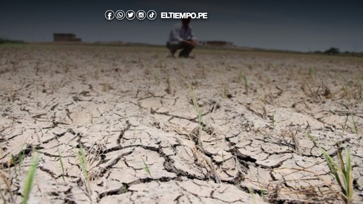 Un agricultor observa la tierra seca y agrietada en una zona afectada por el déficit hídrico en Perú. Foto de: ELTIEMPO.PE