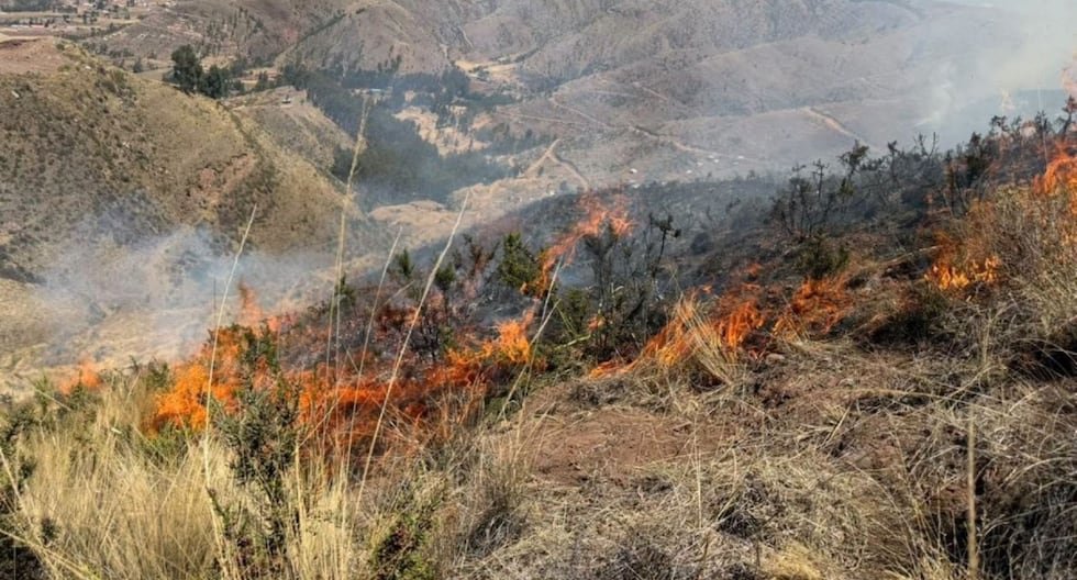 incendios forestales Cusco — Llamas de un incendio forestal avanzan por una ladera en la región de Cusco o Ayacucho. Foto de: Gestión