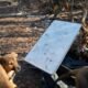 sabotaje starlink — Un dispositivo Starlink, utilizado para proporcionar conectividad en zonas de conflicto, es el centro de la investigación tras el incendio de una estación vinculada a Rusia. Foto de: Pierre Crom/Getty Images