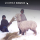 Dos personas con vestimenta de abrigo interactúan con una alpaca en una zona nevada de la sierra peruana. Foto de: ELTIEMPO.PE